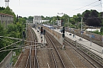 DSC04684.JPG