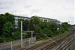 DSC04653.JPG