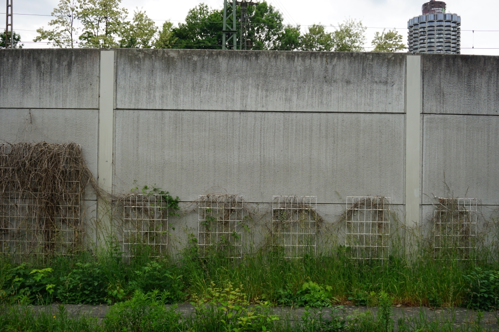 DSC04519.JPG