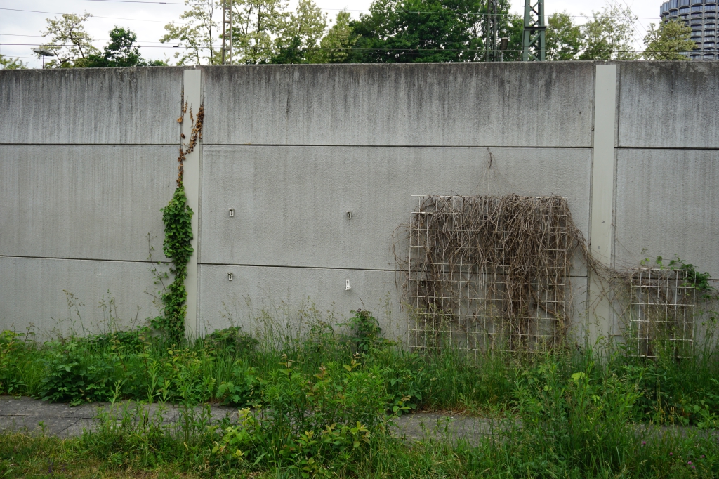 DSC04520.JPG