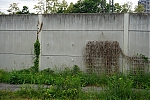 DSC04520.JPG