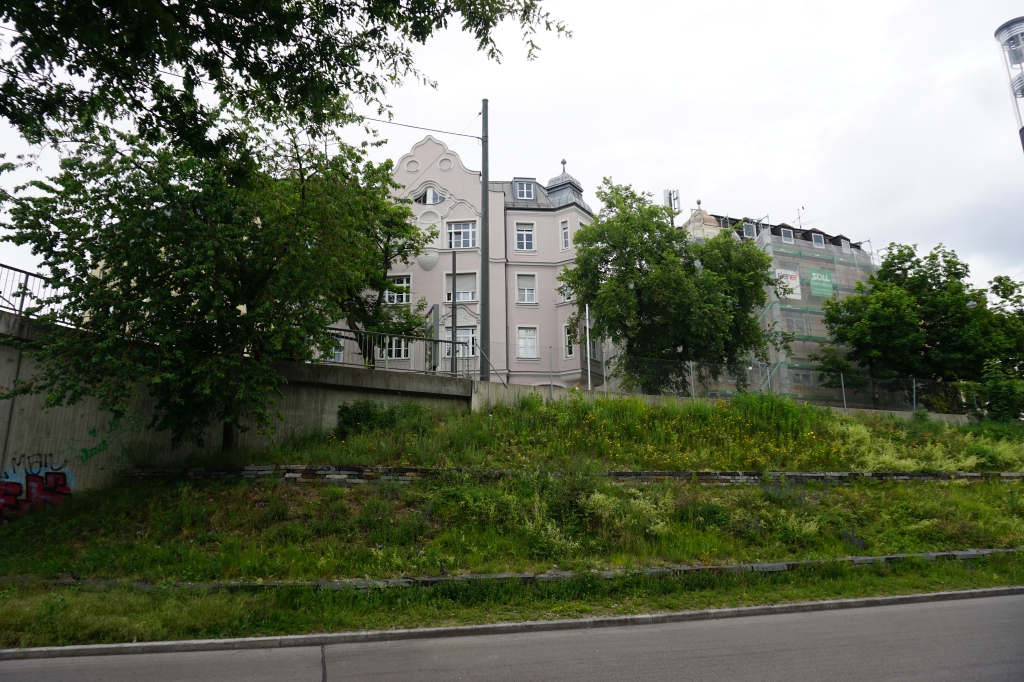 DSC04515.JPG