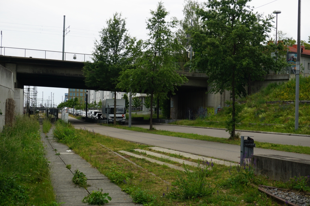 DSC04524.JPG