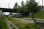 DSC04524.JPG