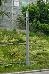 DSC04518.JPG