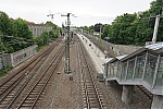 DSC04682.JPG