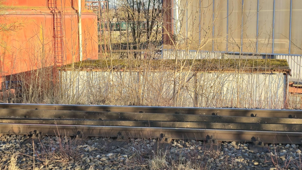 20250116_153216.jpg
