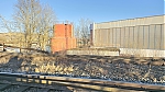 20250116_153118.jpg