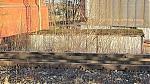 20250116_153216.jpg