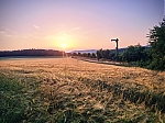 20250614_204503-EFFECTS.jpg