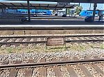 20250622_113916.jpg