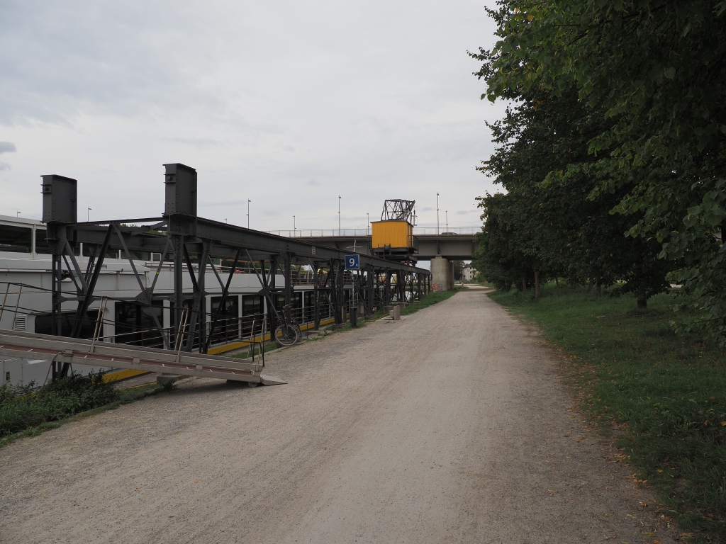 EM125486.JPG
