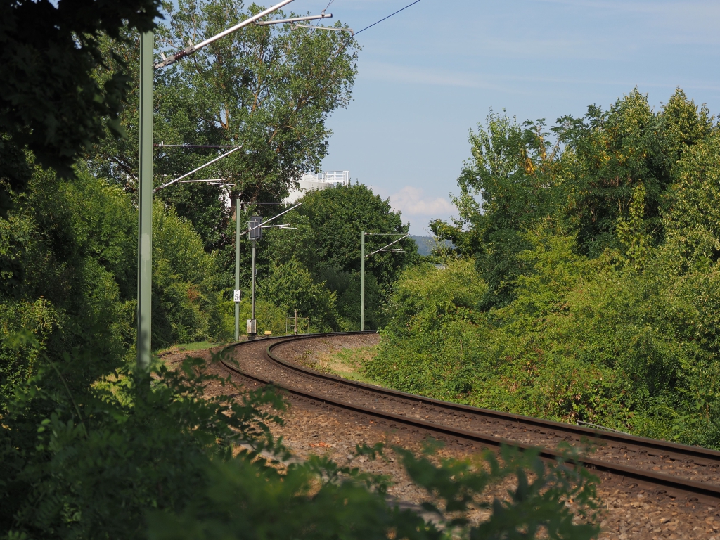 EM122249.JPG