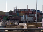P1010086.JPG